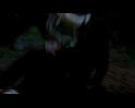 PDVD_1770