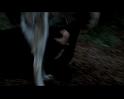 PDVD_1771