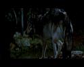 PDVD_1772