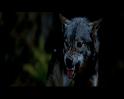 PDVD_1775