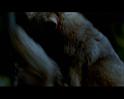 PDVD_1778