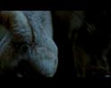 PDVD_1780