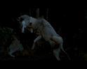 PDVD_1782