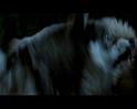 PDVD_1783