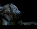 PDVD_1786