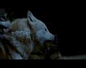 PDVD_1787