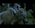 PDVD_1789