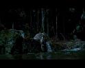 PDVD_1792