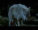 PDVD_1799