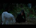 PDVD_1800