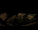 PDVD_2024