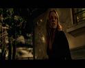 PDVD_2025