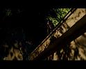 PDVD_2029