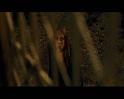 PDVD_2047