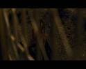 PDVD_2050