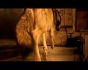 PDVD_2201