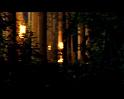 PDVD_540