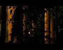 PDVD_541