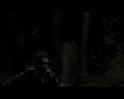 PDVD_554