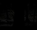 PDVD_555