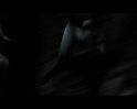 PDVD_557