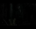 PDVD_559