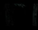 PDVD_560