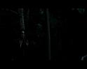 PDVD_561