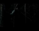 PDVD_563