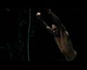 PDVD_567