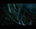 PDVD_572