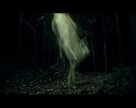 PDVD_574