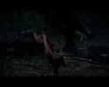 PDVD_577
