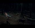PDVD_580
