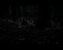 PDVD_582