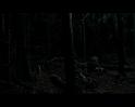PDVD_584