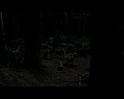 PDVD_585