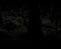 PDVD_586