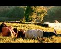 PDVD_976