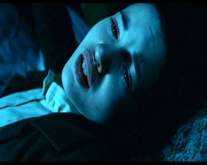 PDVD_004.jpg