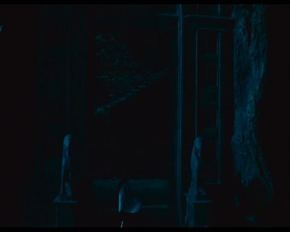 PDVD_007.jpg