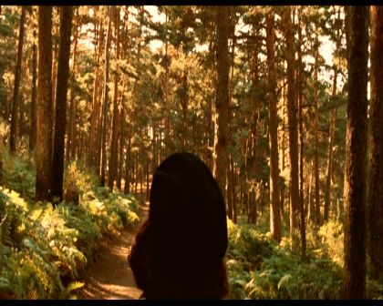 PDVD_038.jpg