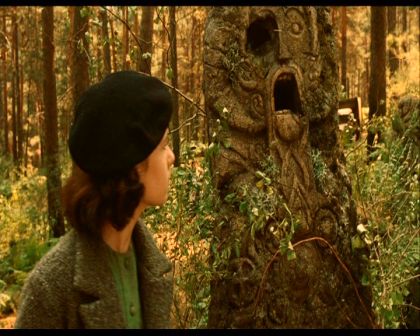 PDVD_045.jpg