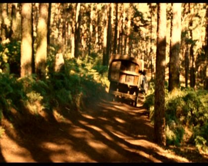 PDVD_077.jpg