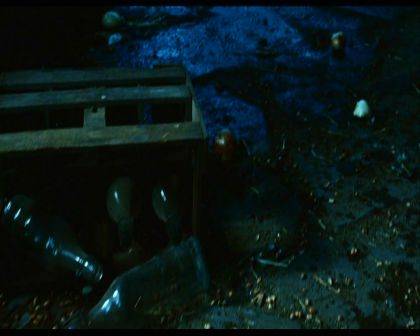 PDVD_1315.jpg