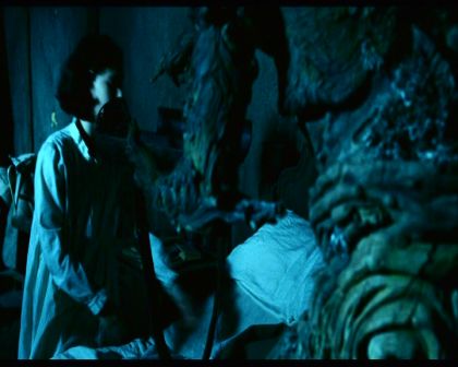 PDVD_1521.jpg