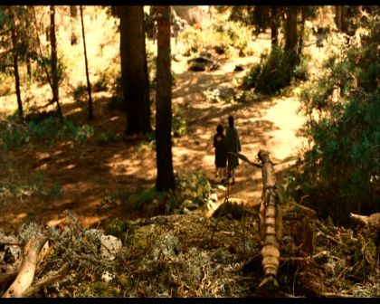 PDVD_154.jpg