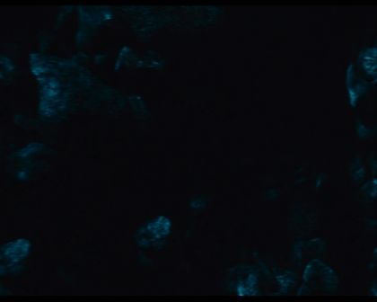 PDVD_2315.jpg
