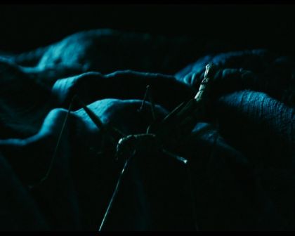 PDVD_296.jpg