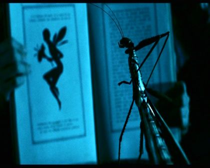 PDVD_306.jpg